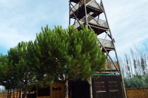 Torre Específica para prática de Slide/ Escalada/ Teia/ Ponte Indiana