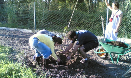 Reforestation et Magusto 2006